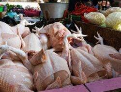 Harga Ayam Naik Jadi Rp38 Ribu per Kilogram di Pasar Manis Ciamis, Telur Masih Stabil
