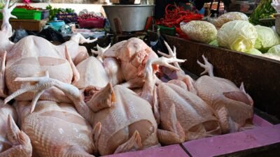 Harga ayam di Pasar manis Ciamis. (Dok, foto. Kondusif.com/fauza)