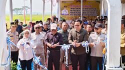 Panen Padi Organik Ciamis Tuai Apresiasi, Produktif Meski Musim Kemarau