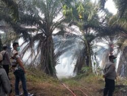 Polisi dan Damkar Padamkan Kebakaran Lahan Sawit PT Condong Garut, 15 Hektare Terdampak