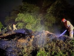 Kebakaran Hanguskan Tumpukan Limbah Sabut Kelapa di Pamarican