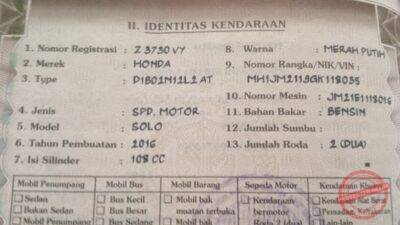 (Dok, foto. Istimewa)