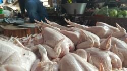 Harga daging ayam ras di Pasar Manis Ciamis mengalami kenaikan. (Foto/fauza/kondusif.com)