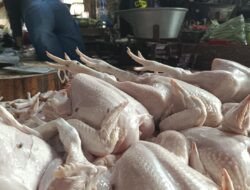 Harga Daging Ayam di Pasar Manis Ciamis Naik Jadi Rp40 Ribu per Kilogram