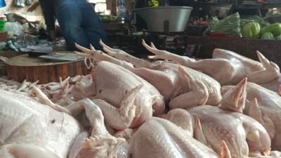 Harga daging ayam ras di Pasar Manis Ciamis mengalami kenaikan. (Foto/fauza/kondusif.com)