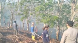 Api Lahap 5 Hektare Kebun Warga di Cikelet Garut