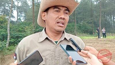 Kepala Desa Cibeureum Ayi Hidayat harapkan penanaman bawang putih di Sukamantri bisa dongkrak ekonomi petani