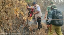 Sekitar 1 Hektare Lahan Perhutani di Pakenjeng Terbakar
