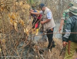 Sekitar 1 Hektare Lahan Perhutani di Pakenjeng Terbakar