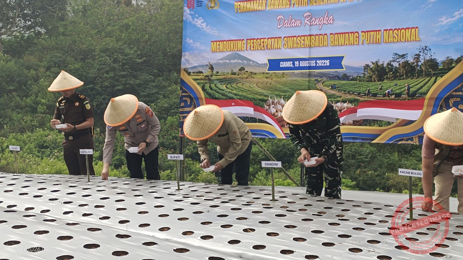 Kapolres Ciamis AKBP Eko Iskandar bersama petani melakukan penanaman bawang putih di Blok Werkit, Dusun Cimara, Desa Cibeureum, Kecamatan Sukamantri, Kabupaten Ciamis, Rabu (19/8/2026). Penanaman ini merupakan bagian dari Gerakan Penanaman Bawang Putih Serentak Nasional untuk mendukung swasembada bawang putih. (Fauza/kondusif.com)