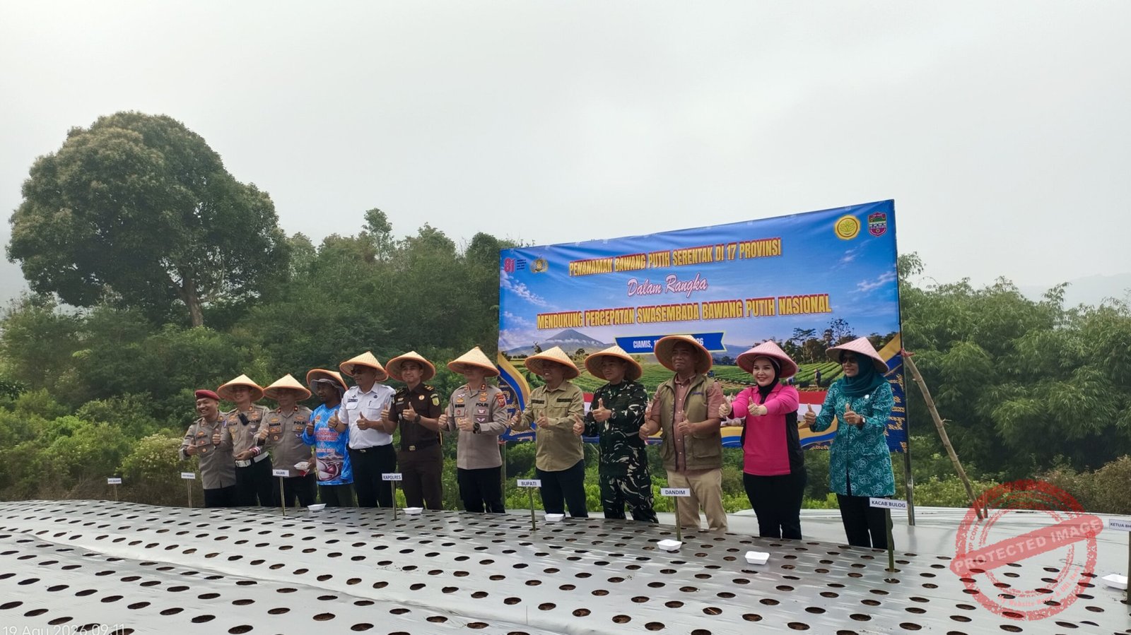 Penanaman bawang putih di Sukamantri Ciamis