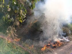 Karhutla di Rancabango Garut, Enam Titik Terbakar