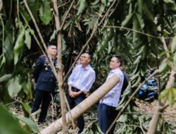 Longsor Putuskan Jalan Gardu-Ciilat, Pemkab Ciamis Siapkan Jembatan sebagai Solusi Permanen