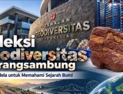BRIN Baca Sejarah Bumi dari 33 Ribu Spesimen Batuan Karangsambung Kebumen